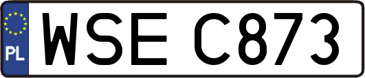 WSEC873