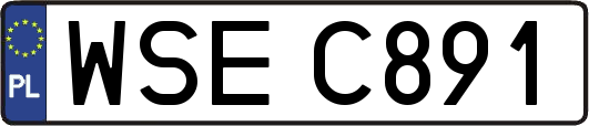 WSEC891