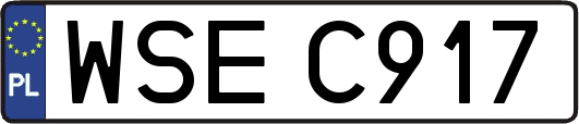 WSEC917