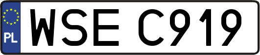 WSEC919