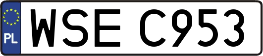 WSEC953