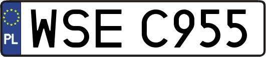 WSEC955