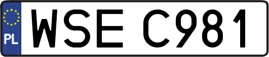 WSEC981
