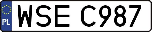 WSEC987