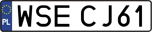 WSECJ61