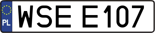 WSEE107