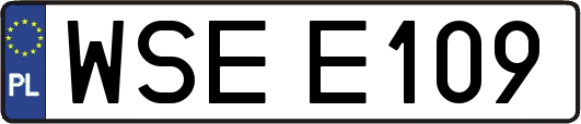 WSEE109
