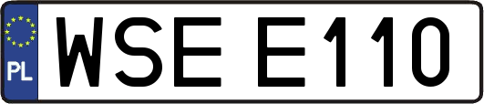WSEE110