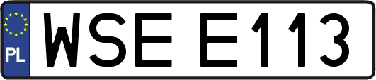 WSEE113