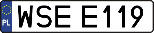 WSEE119