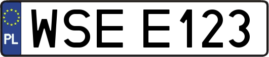 WSEE123