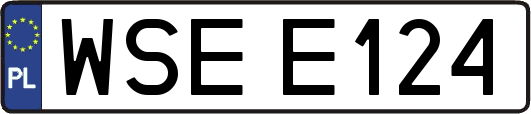 WSEE124