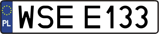 WSEE133