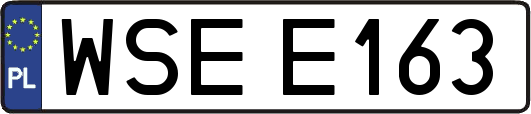 WSEE163