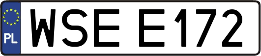 WSEE172