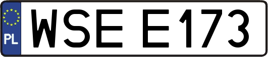 WSEE173