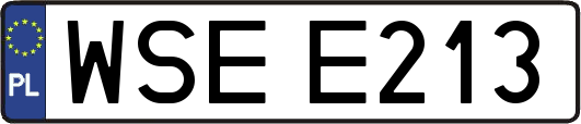 WSEE213