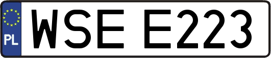 WSEE223