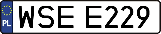 WSEE229