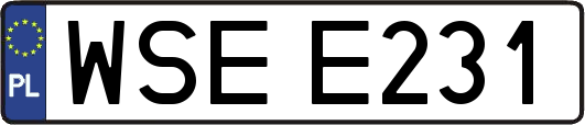 WSEE231