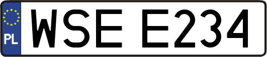 WSEE234