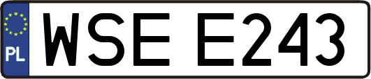 WSEE243