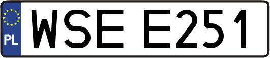WSEE251