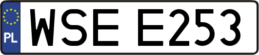 WSEE253