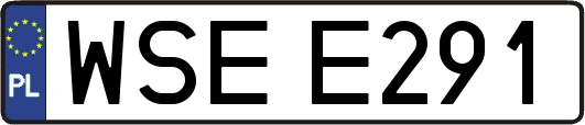WSEE291