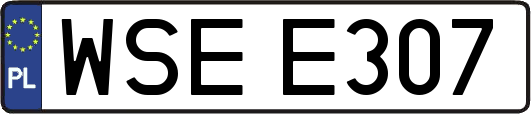 WSEE307