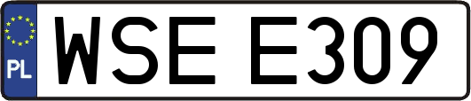 WSEE309