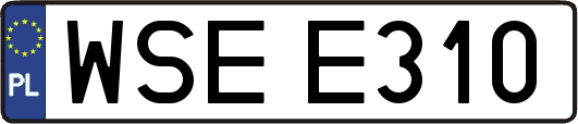 WSEE310