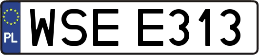 WSEE313