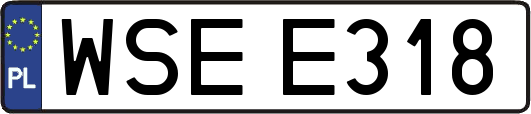WSEE318