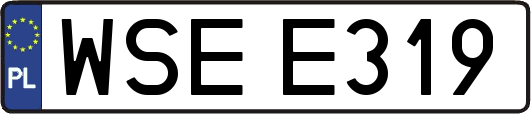 WSEE319