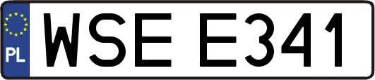 WSEE341