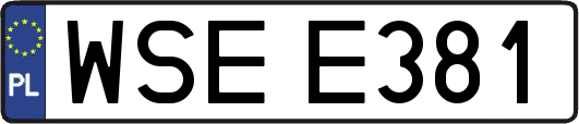 WSEE381