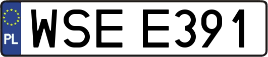 WSEE391