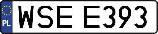 WSEE393