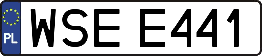 WSEE441