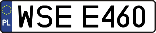 WSEE460