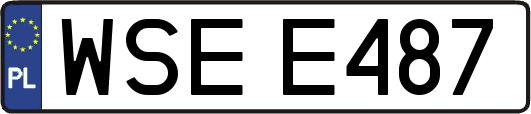 WSEE487