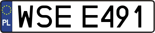 WSEE491