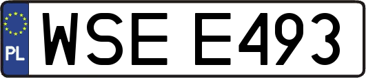 WSEE493