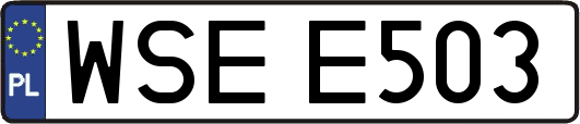 WSEE503