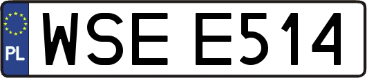 WSEE514