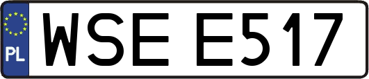 WSEE517