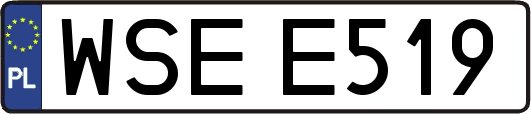 WSEE519
