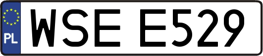 WSEE529