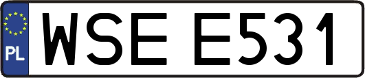 WSEE531